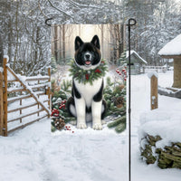 A black and white Akita dog in a Winter setting with a festive collar on.