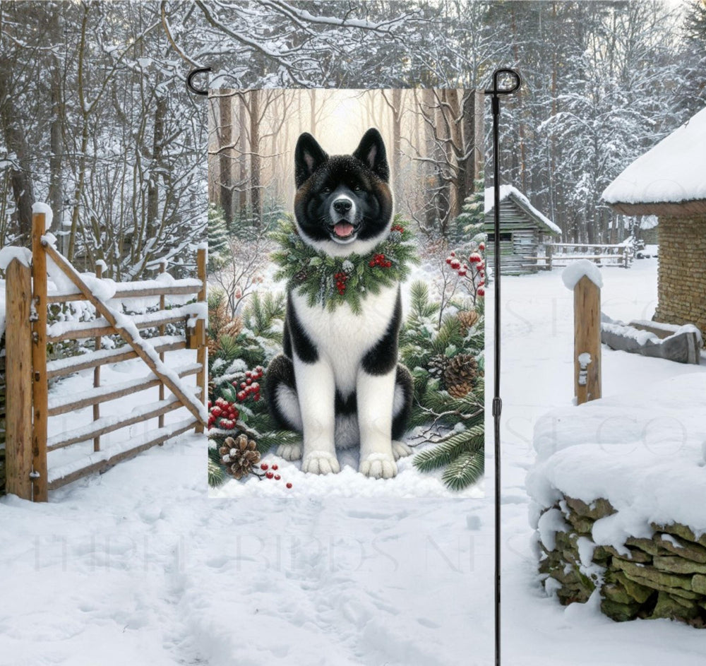 A black and white Akita dog in a Winter setting with a festive collar on.