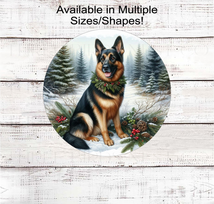 A beautiful black and tan German Shepherd dog in a festive collar in a winter woodland setting