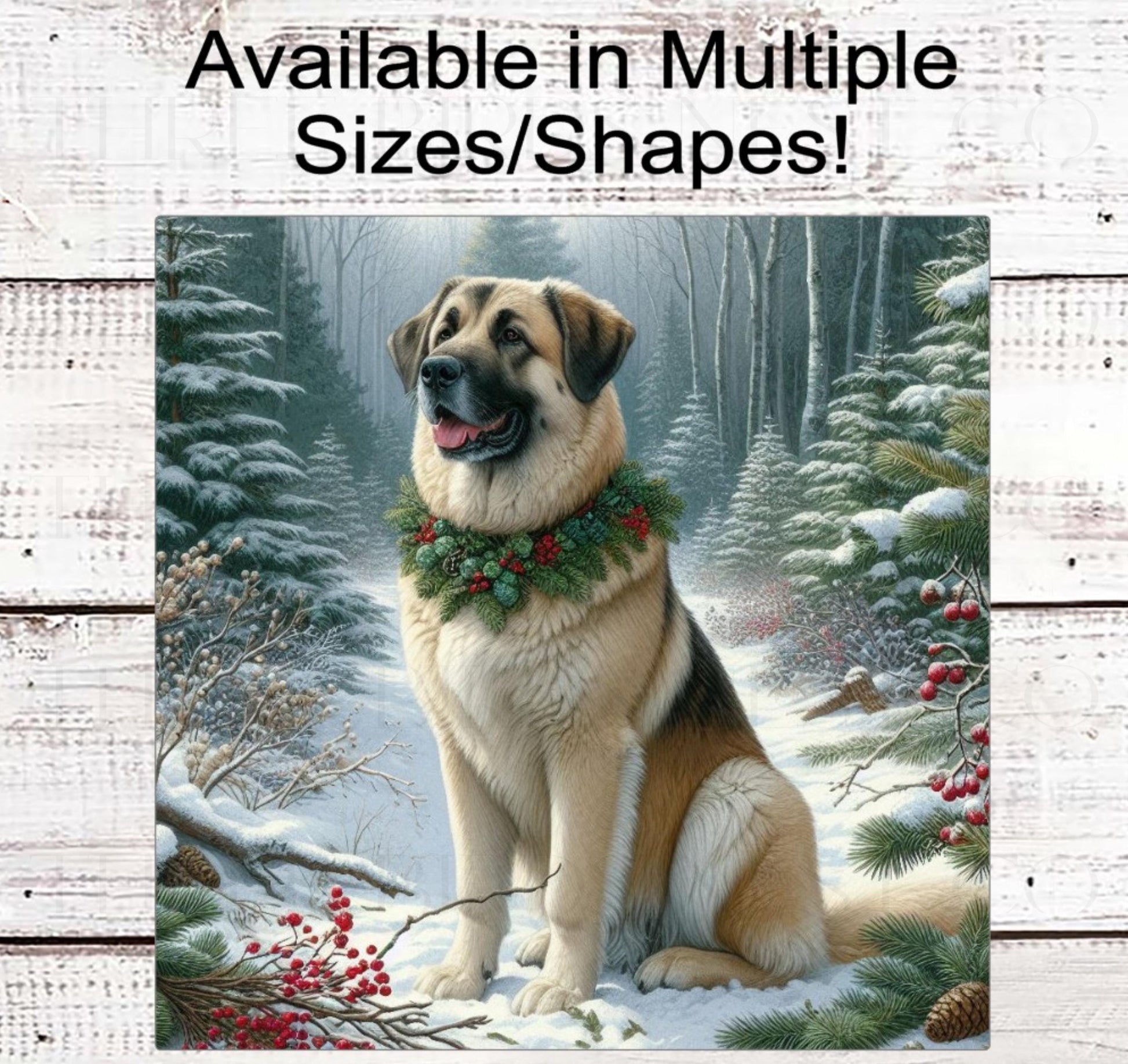 Christmas Dog Wreath Sign - Anatolian Shepherd Dog - Winter Welcome Sign