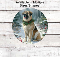 
              A beautiful Anatolian Shepherd Livestock Guardian dog in a festive collar in a winter woodland setting
            