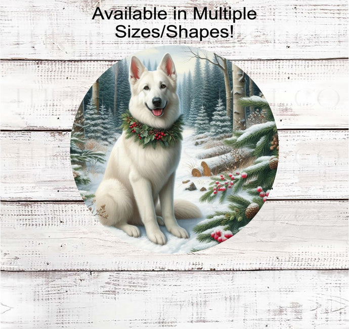 A beautiful white German Shepherd dog in a festive collar in a winter woodland setting