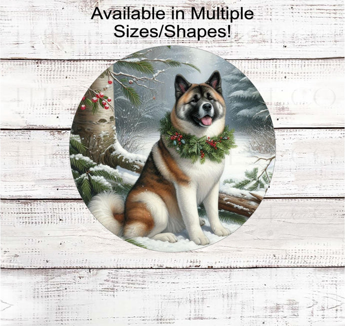 A beautiful black, white and brown Akita dog in a festive collar in a winter woodland setting