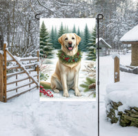 
              A yellow Labrador Retriever in a snowy Winter scene wearing a greenery and berries collar.
            