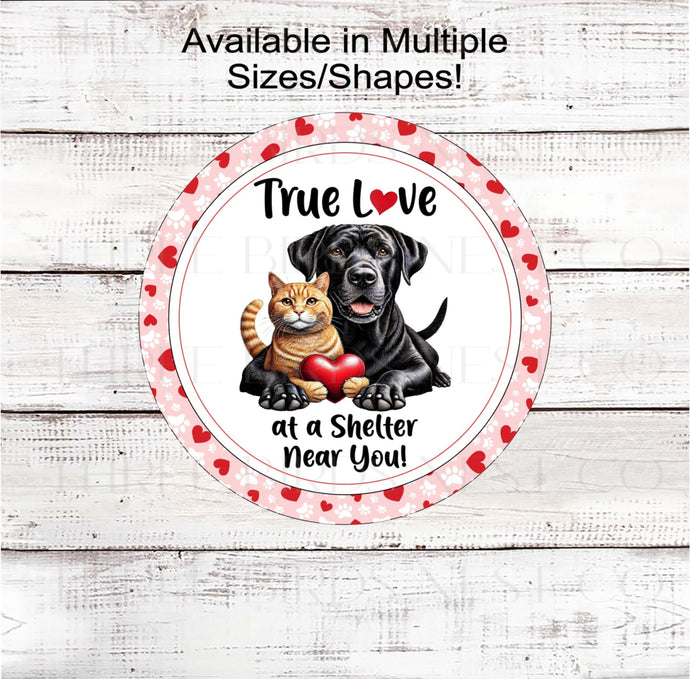 This Dog and Cat is here to remind you that your Valentine is as close as your local shelter!