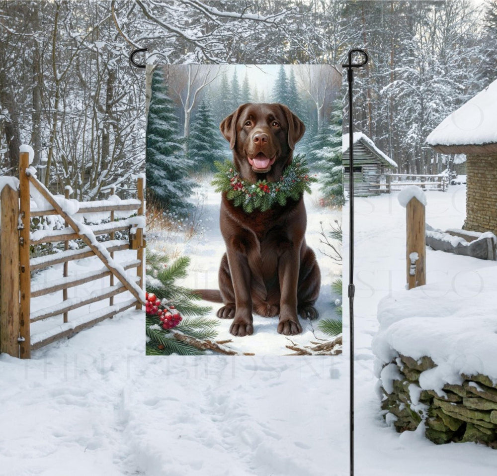 A chocolate Labrador Retriever in a Winter setting with a festive collar on.