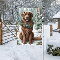 A Chesapeake Bay Retriever in a Winter setting with a festive collar on.