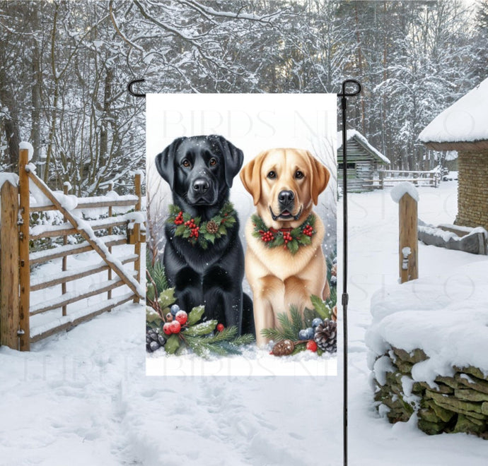 A black Labrador Retriever dog and a yellow Labrador Retriever dog in a Winter setting with festive collars on.