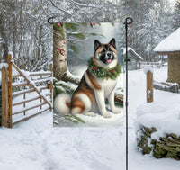 
              A black, brown and white Akita dog in a Winter setting with a festive collar on.
            