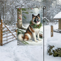 A black, brown and white Akita dog in a Winter setting with a festive collar on.