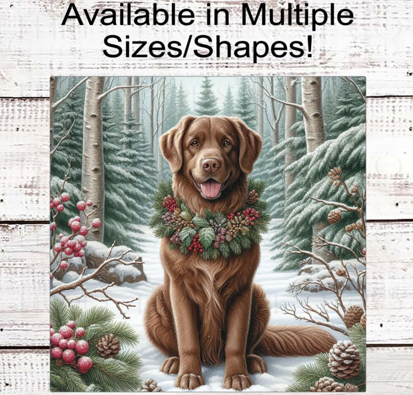 Christmas Dog Wreath Sign - Chesapeake Bay Retriever Dog - Winter Welcome Sign