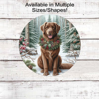 A beautiful Chesapeake Bay Retriever dog in a festive collar in a winter woodland setting