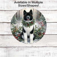 A beautiful black and white Akita dog in a festive collar in a winter woodland setting