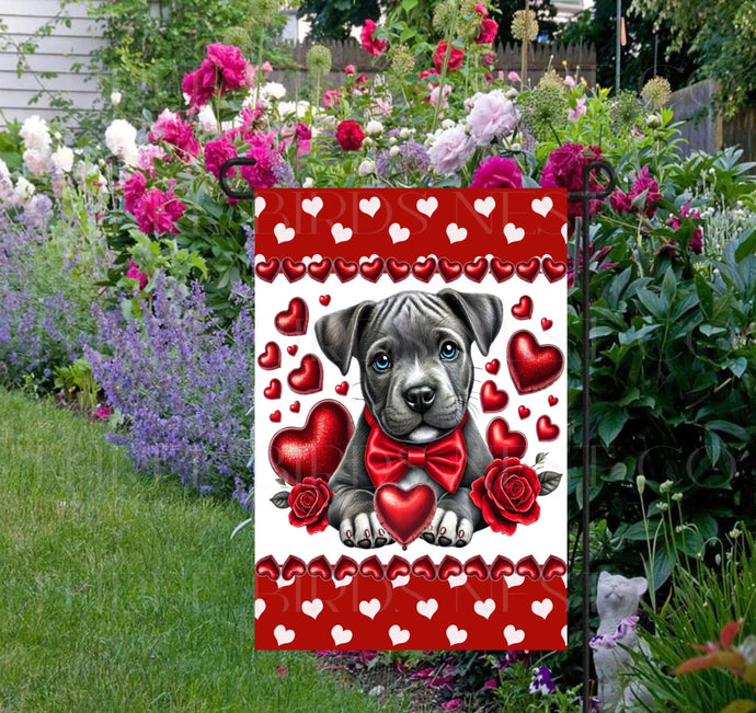 A beautiful Pit Bull puppy with hearts and roses for Valentines Day.