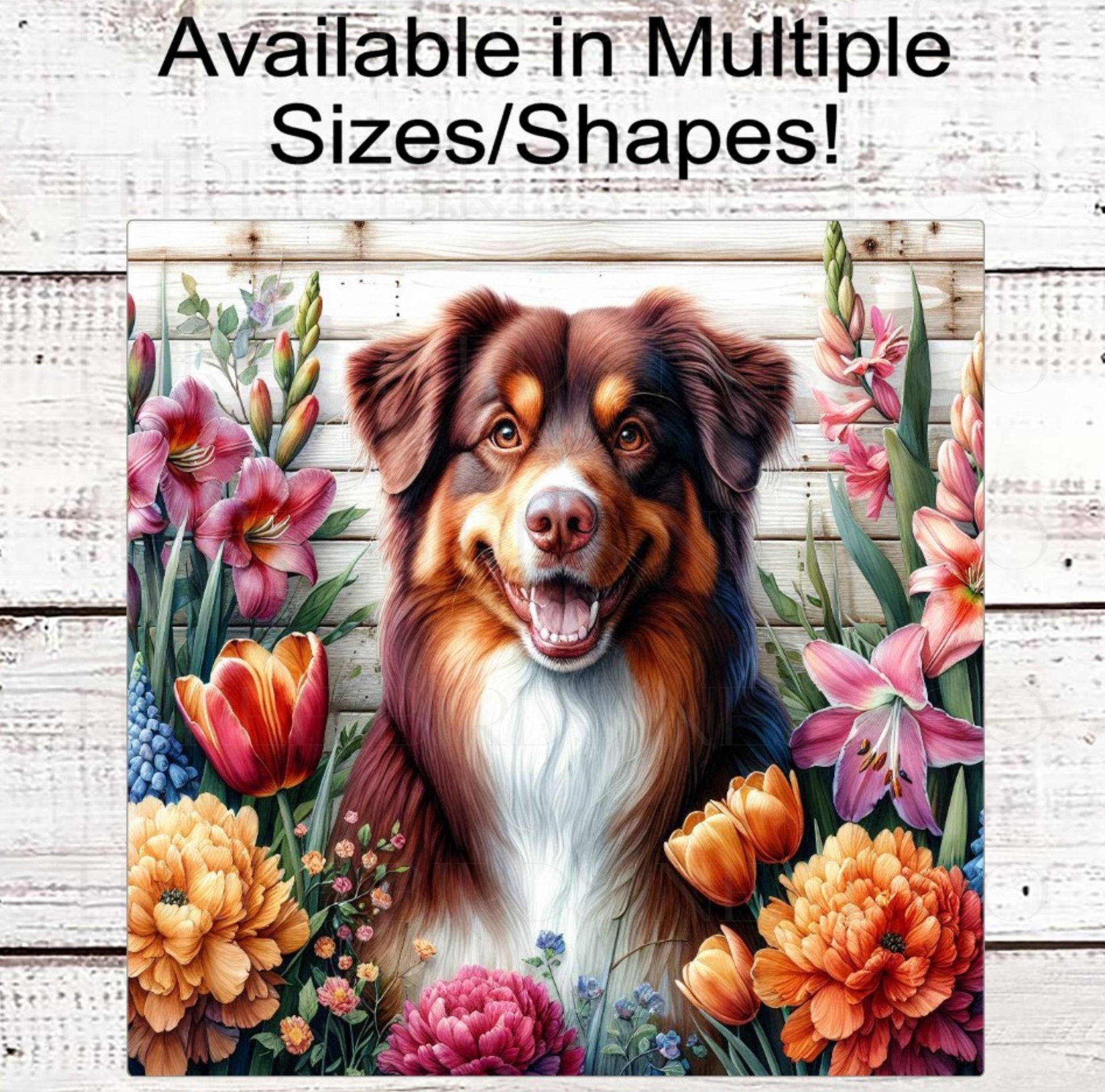 Dog Wreath Sign, Australian Shepherd Dog, Spring Flowers, Floral Wreath Sign