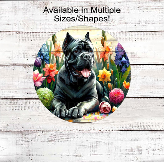 A beautiful black Cane Corso dog surrounded by bright Spring Flowers.