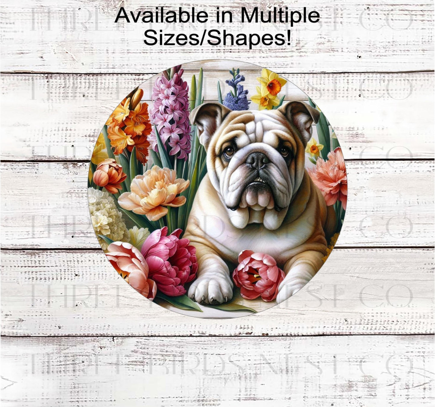 An adorable English Bulldog surrounded by beautiful Spring Flowers.