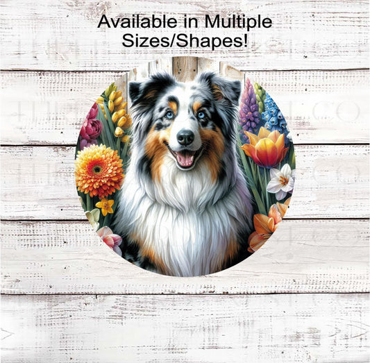 A beautiful black merle Australian Shepherd surrounded by bright Spring Flowers.