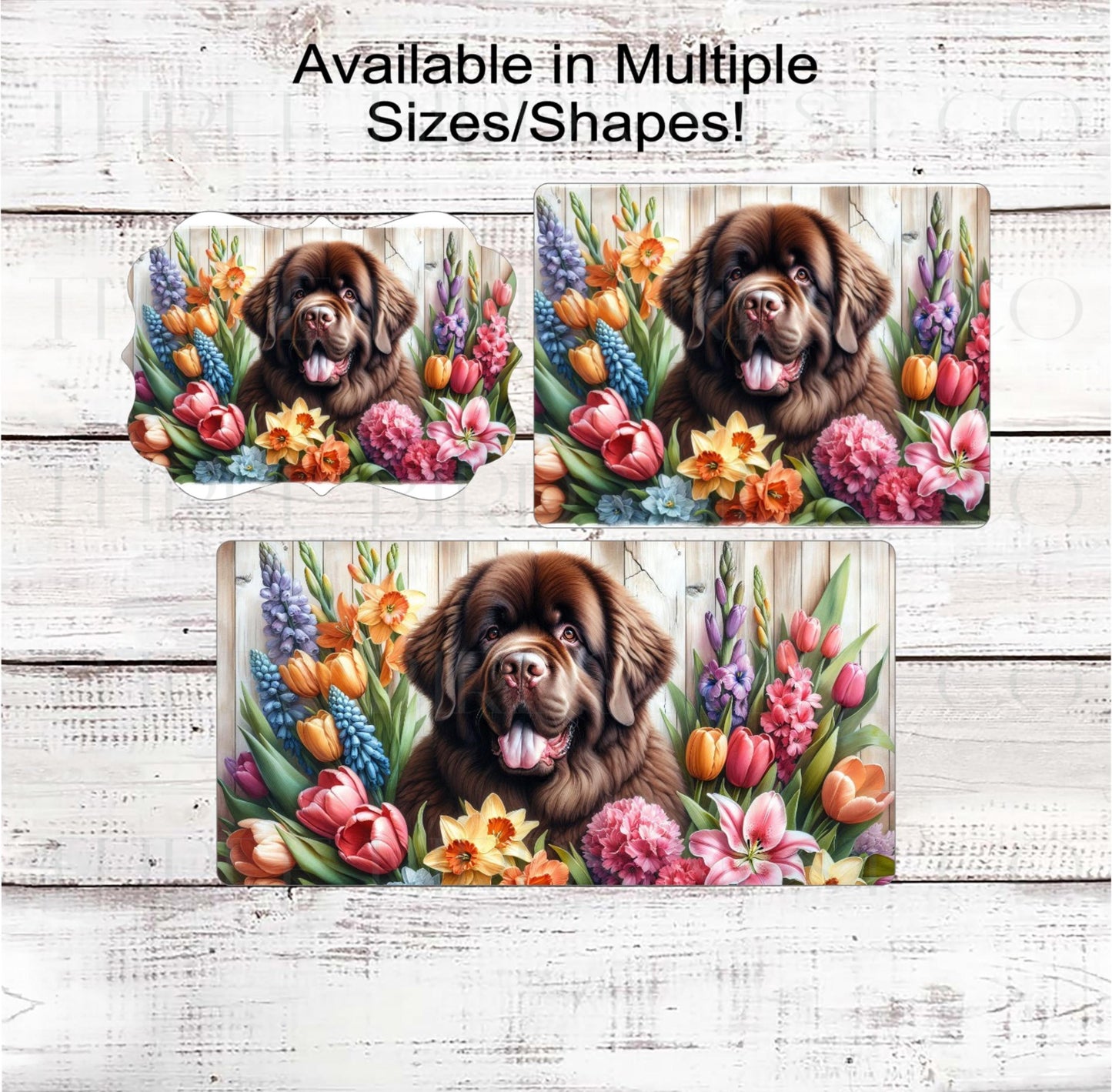 Dog Wreath Sign, Newfoundland Dog, Spring Flowers, Floral Wreath Sign