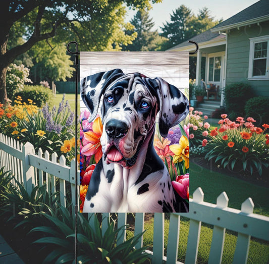 A beautiful harlequin Great Dane dog surrounded by gorgeous flowers.