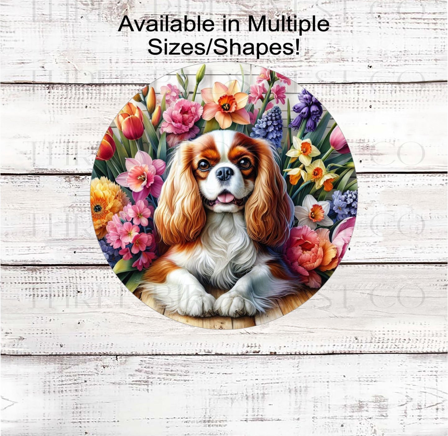 A beautiful Cavalier King Charles Spaniel dog surrounded by beautiful Spring flowers