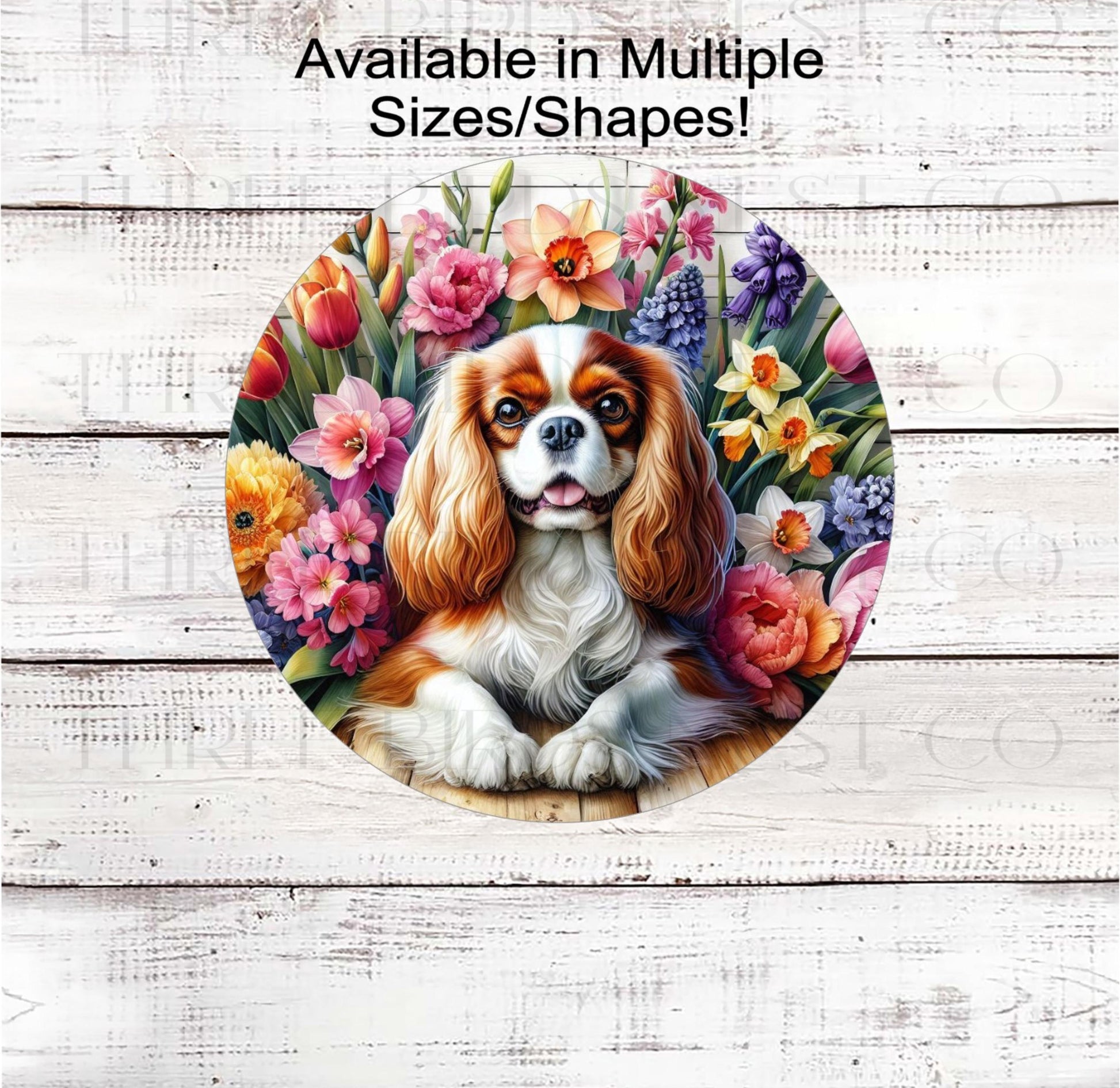 A beautiful Cavalier King Charles Spaniel dog surrounded by beautiful Spring flowers
