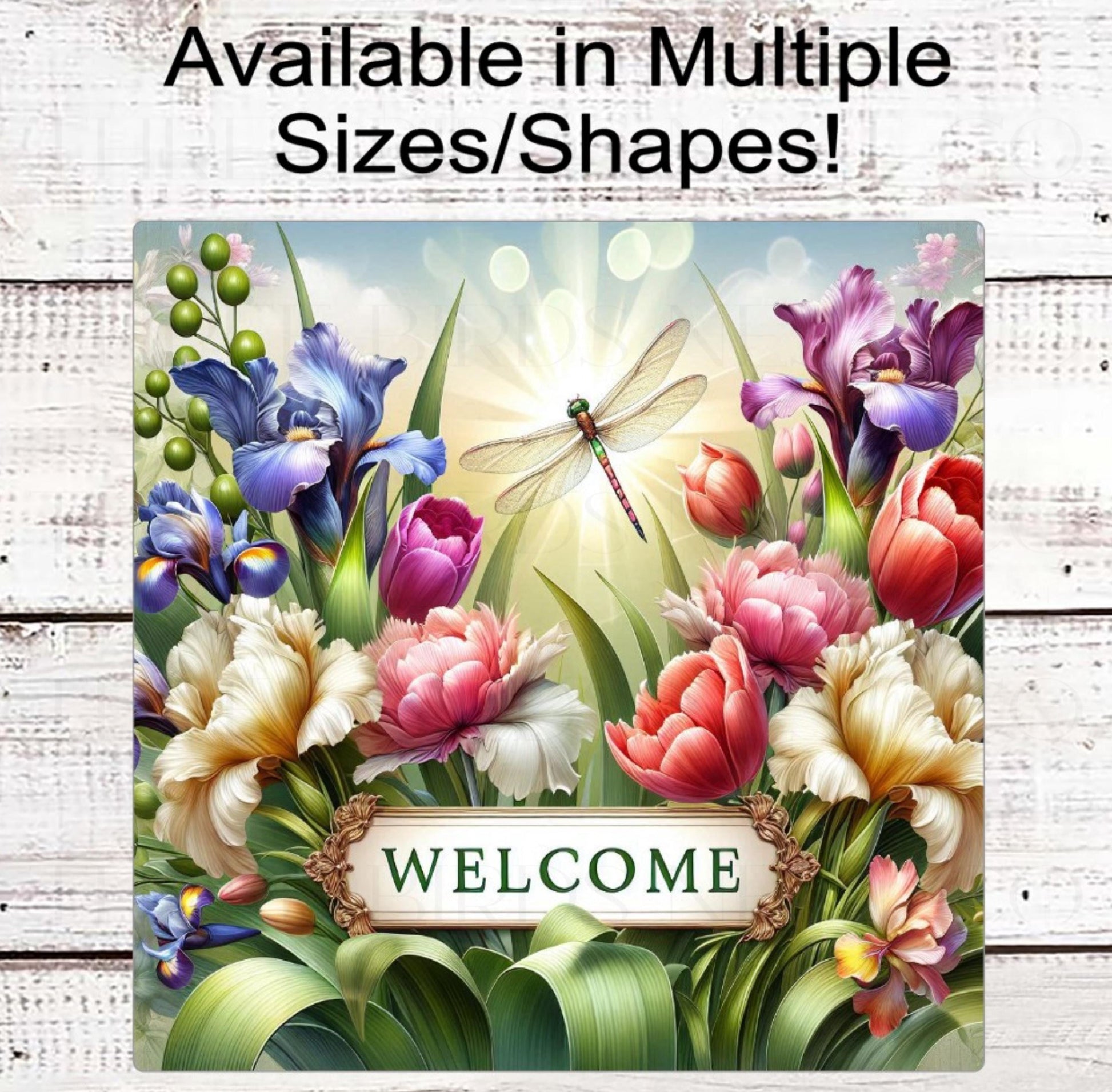 Dragonfly Lover, Welcome Wreath Sign, Spring Flowers, Everyday Sign