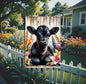 An adorable baby black Angus Cow surrounded by beautiful Spring flowers.