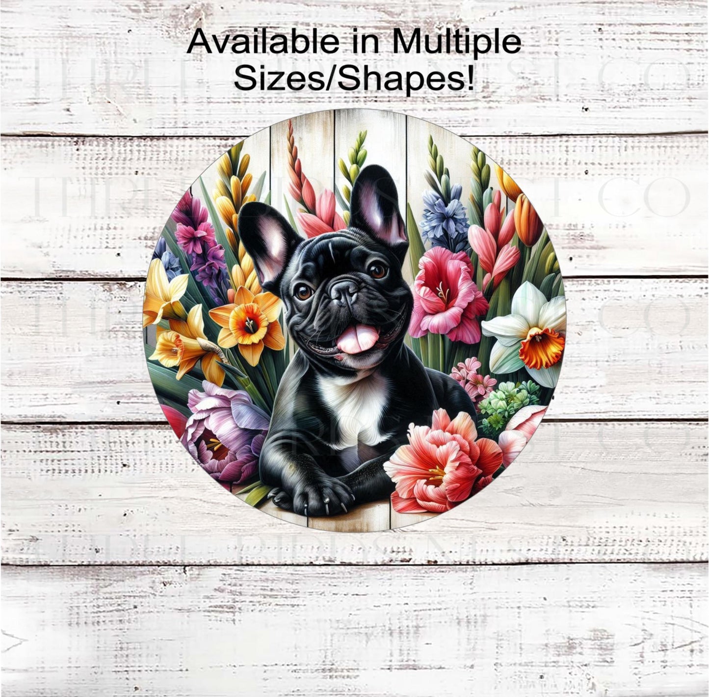 A beautiful black French Bulldog dog surrounded by bright Spring Flowers.