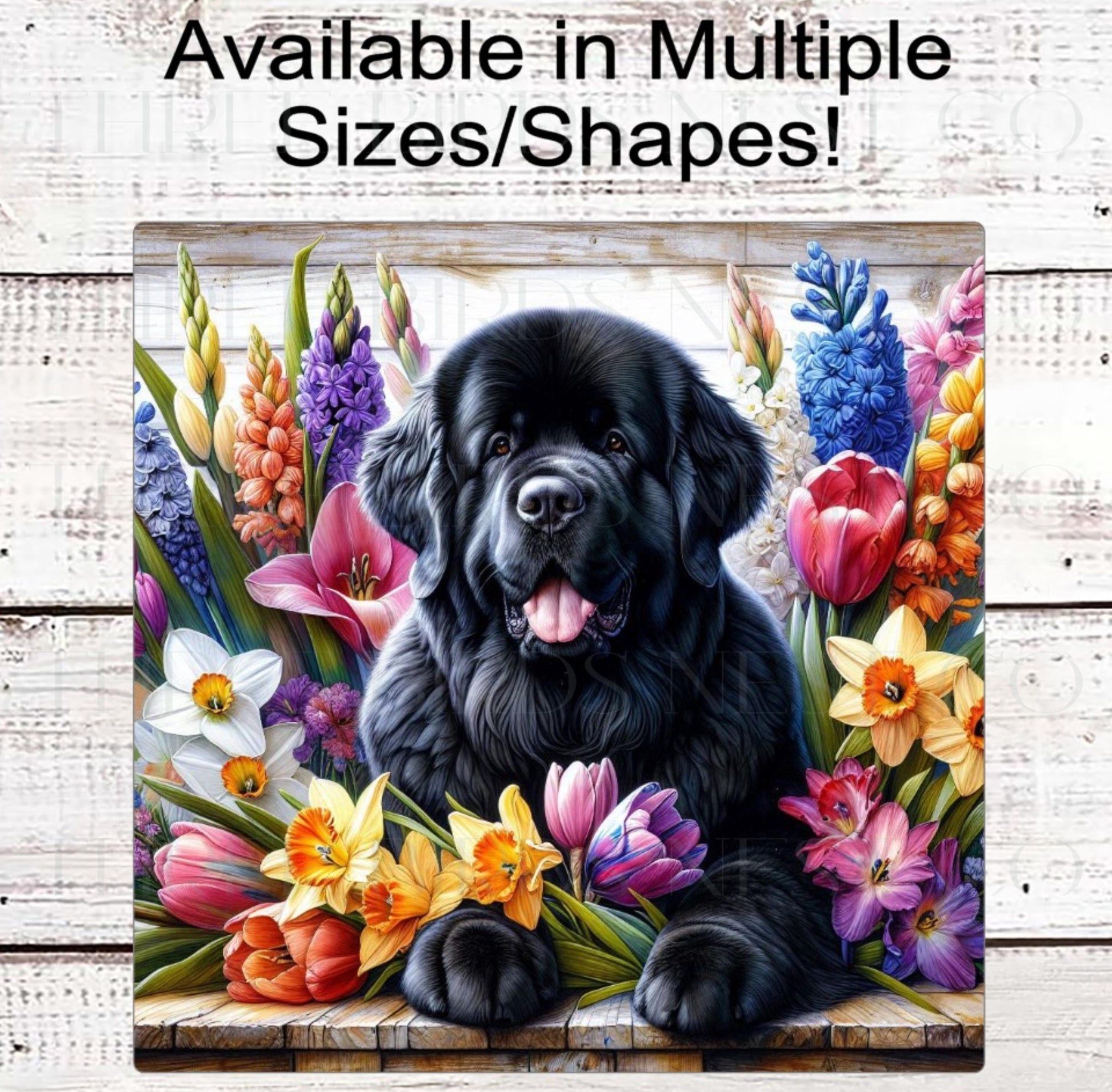 Dog Wreath Sign, Newfoundland Dog, Spring Flowers, Floral Wreath Sign