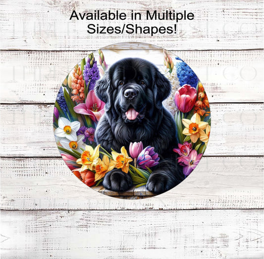A beautiful black Newfoundland dog surrounded by bright Spring Flowers.