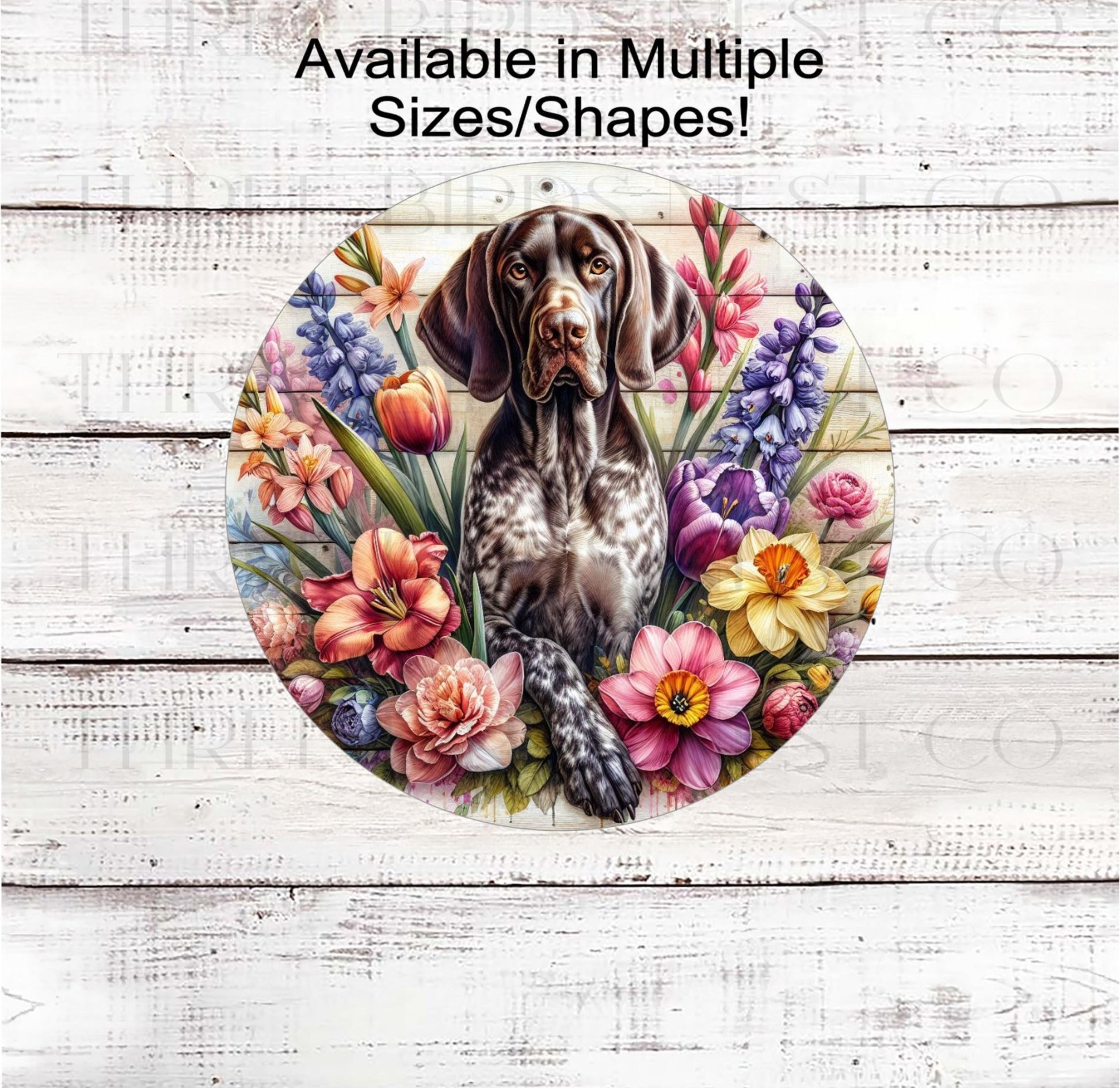 A beautiful German Shorthaired Pointer Dog surrounded by bright Spring flowers.
