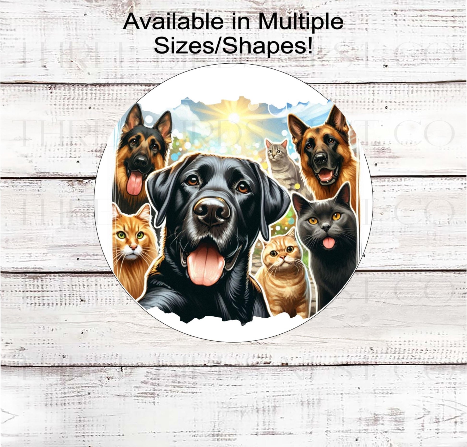 An adorable Labrador Retriever taking a selfie with his dog and cat friends