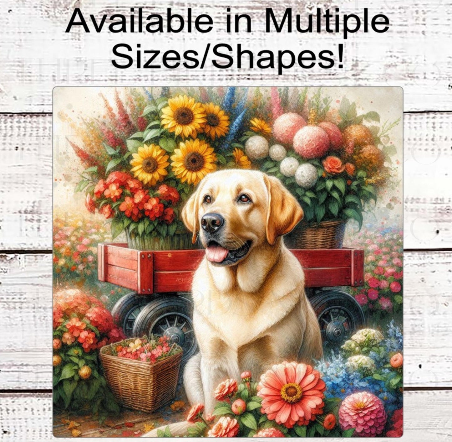 Everyday Wreath Sign, Yellow Labrador Retriever, Sunflowers Floral Decor, Dog Lover