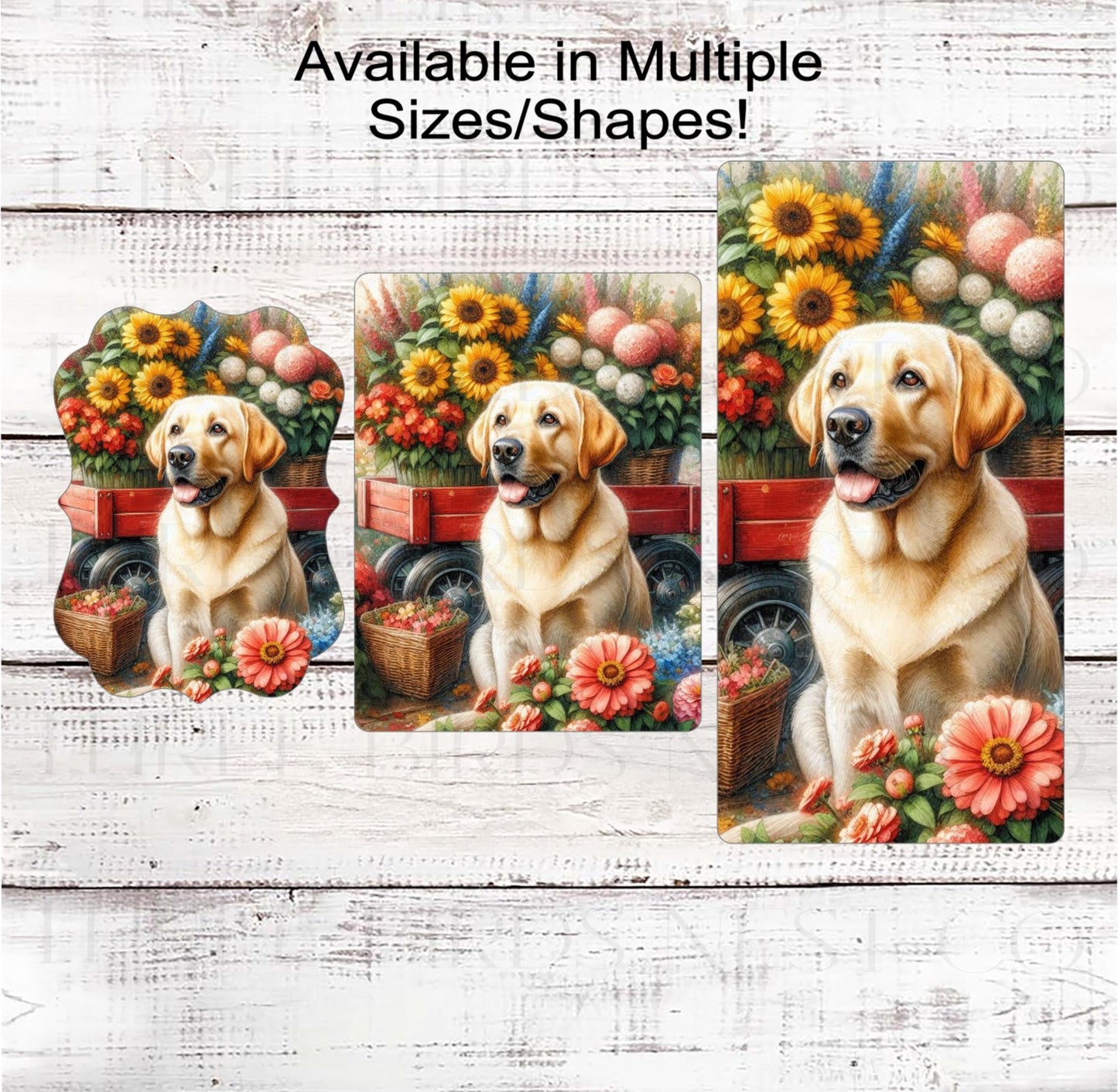 Everyday Wreath Sign, Yellow Labrador Retriever, Sunflowers Floral Decor, Dog Lover