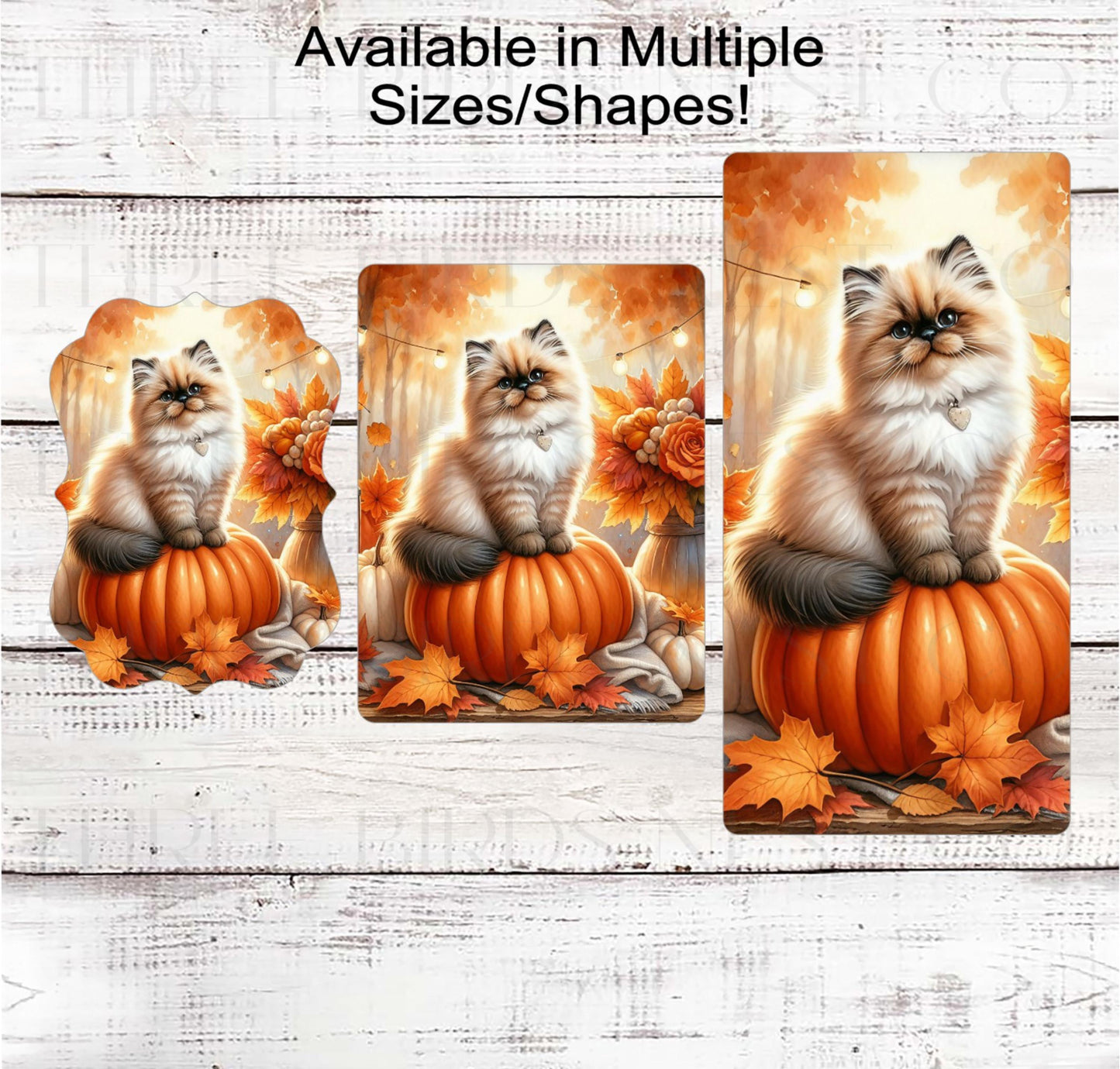 Fall Wreath Sign, Himalayan Cat Lover, Pumpkins Decor- PA2207