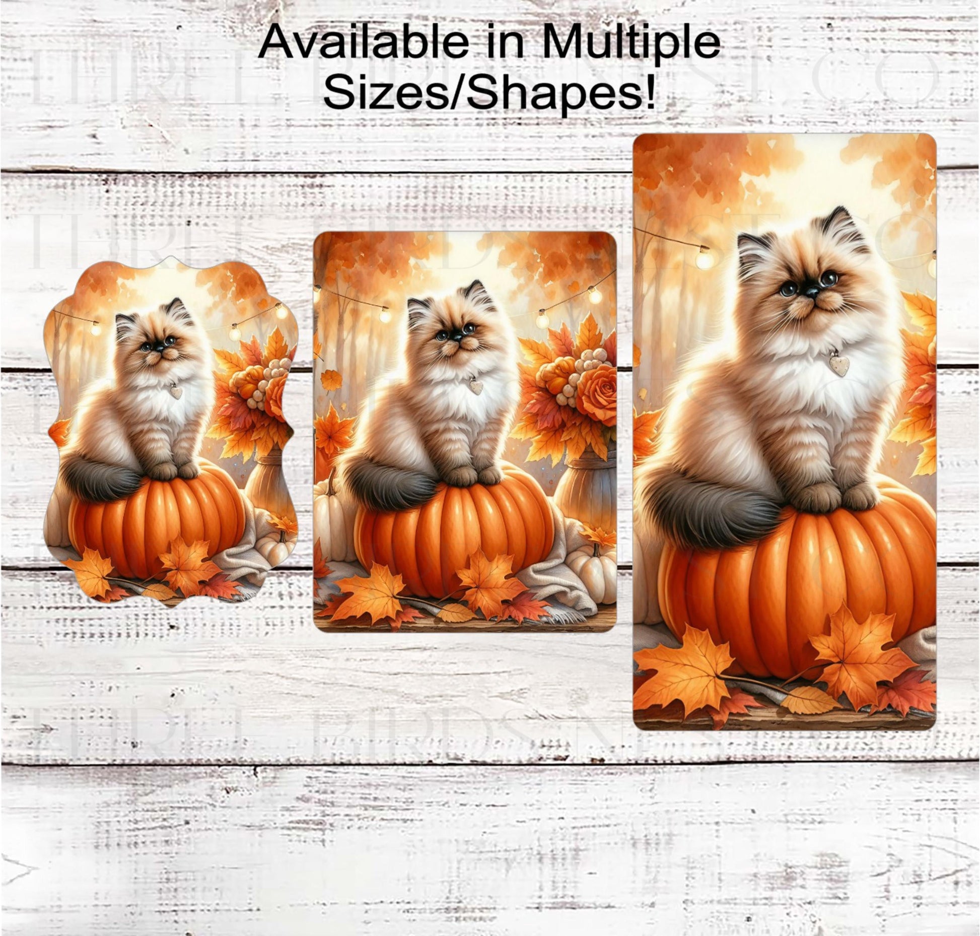Fall Wreath Sign, Himalayan Cat Lover, Pumpkins Decor- PA2207