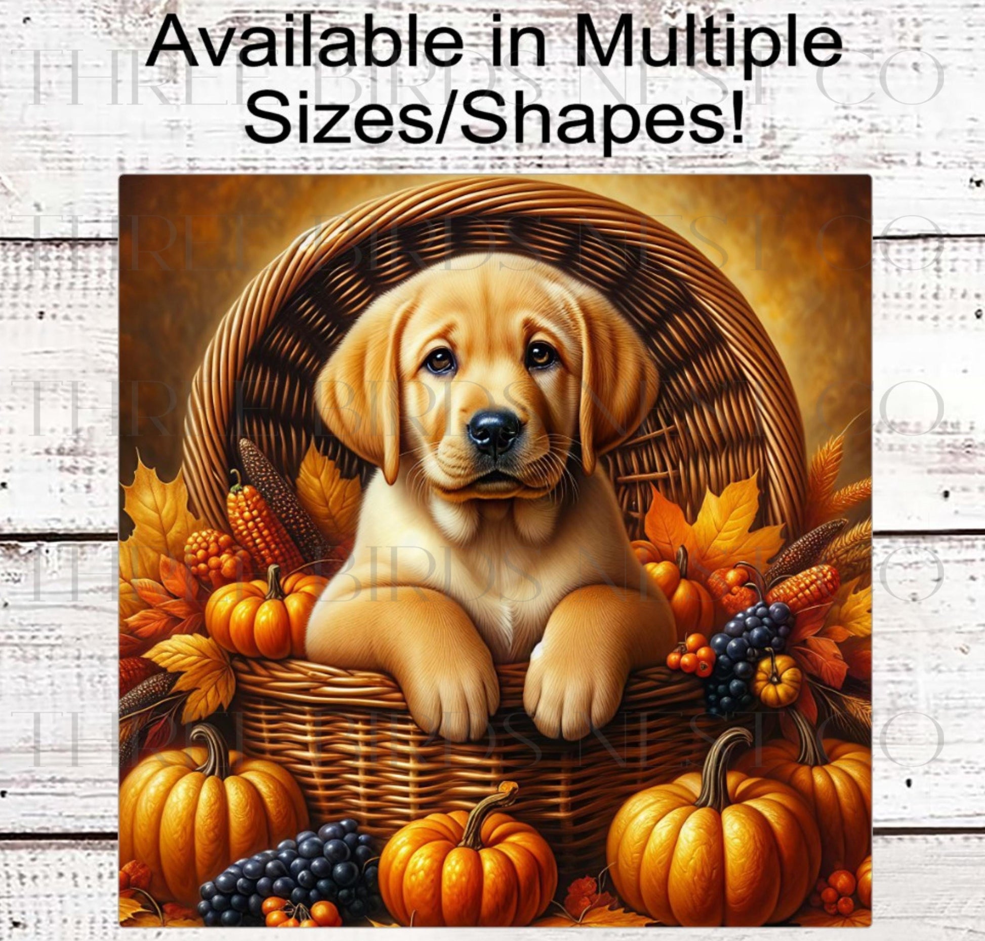 Fall Wreath Sign, Labrador Retriever Dog, Yellow Lab Lover, Thanksgiving Decor- PA2210