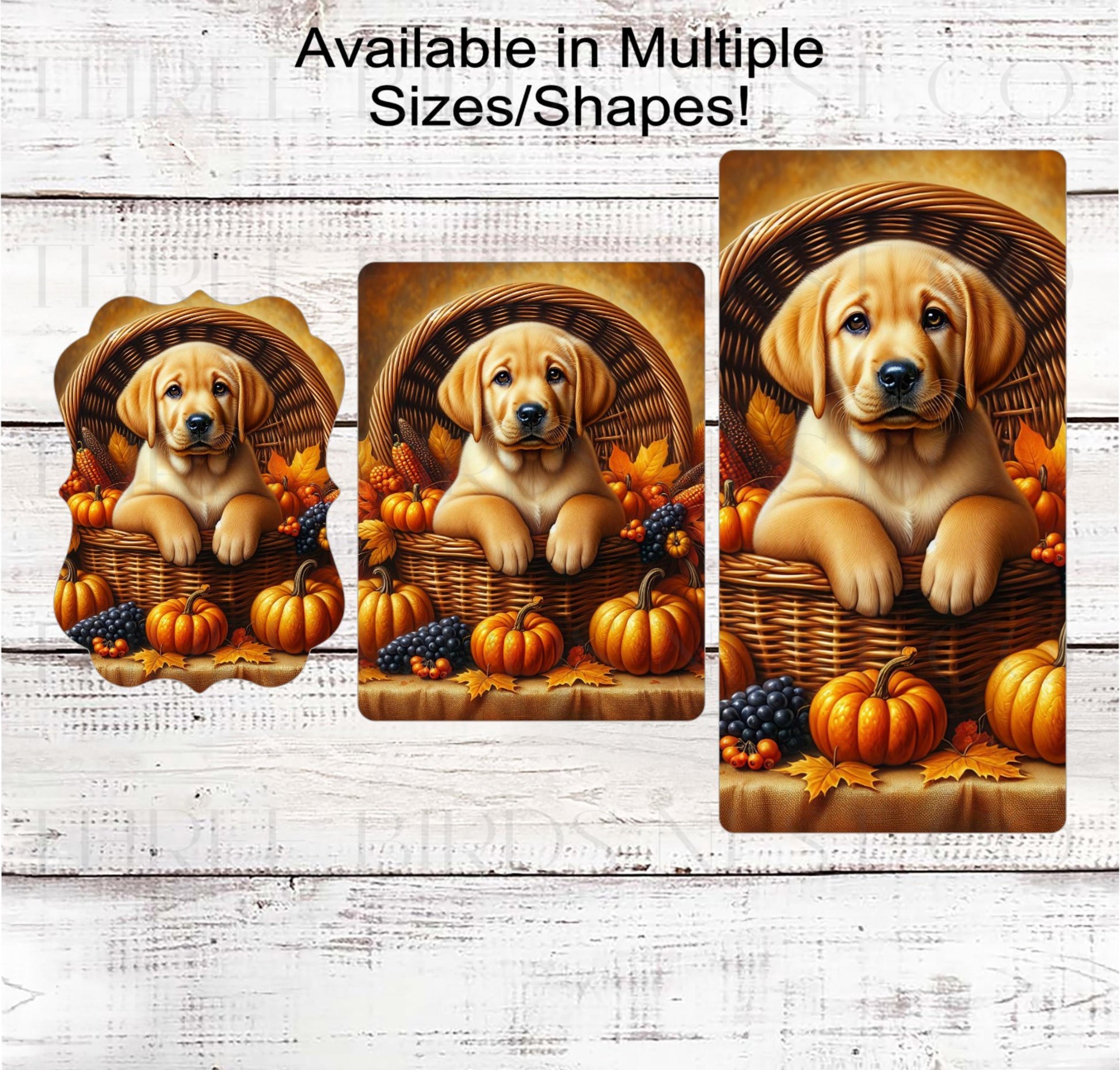 Fall Wreath Sign, Labrador Retriever Dog, Yellow Lab Lover, Thanksgiving Decor- PA2210