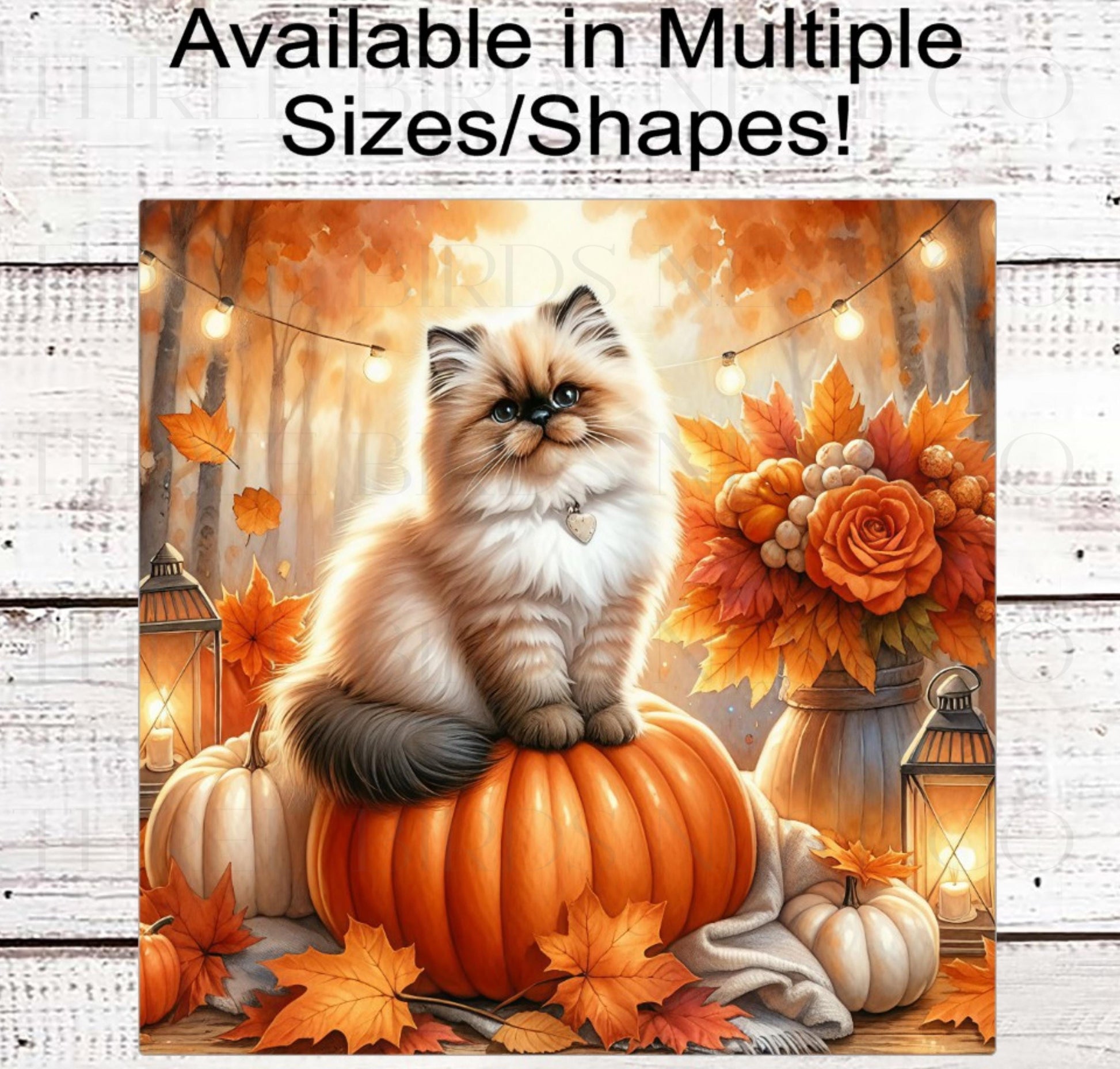Fall Wreath Sign, Himalayan Cat Lover, Pumpkins Decor- PA2207