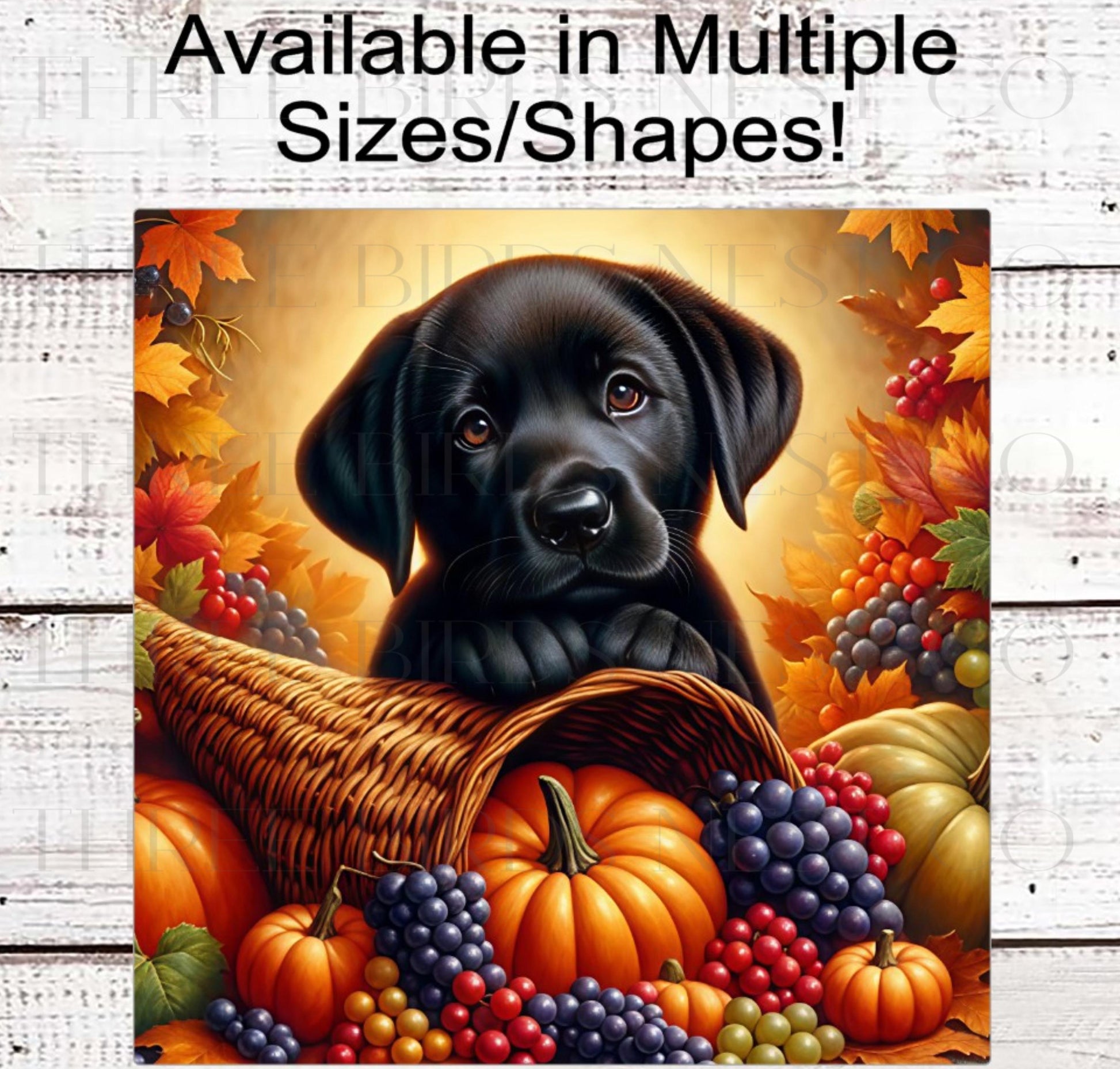 Fall Wreath Sign, Labrador Retriever Dog, Black Lab Lover, Thanksgiving Decor- PA2208