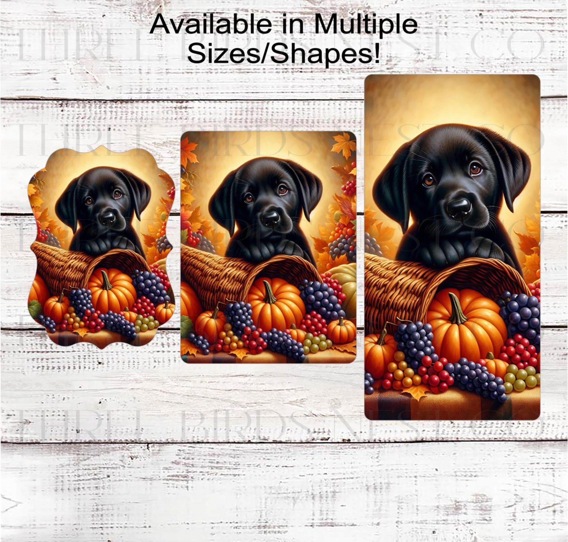 Fall Wreath Sign, Labrador Retriever Dog, Black Lab Lover, Thanksgiving Decor- PA2208