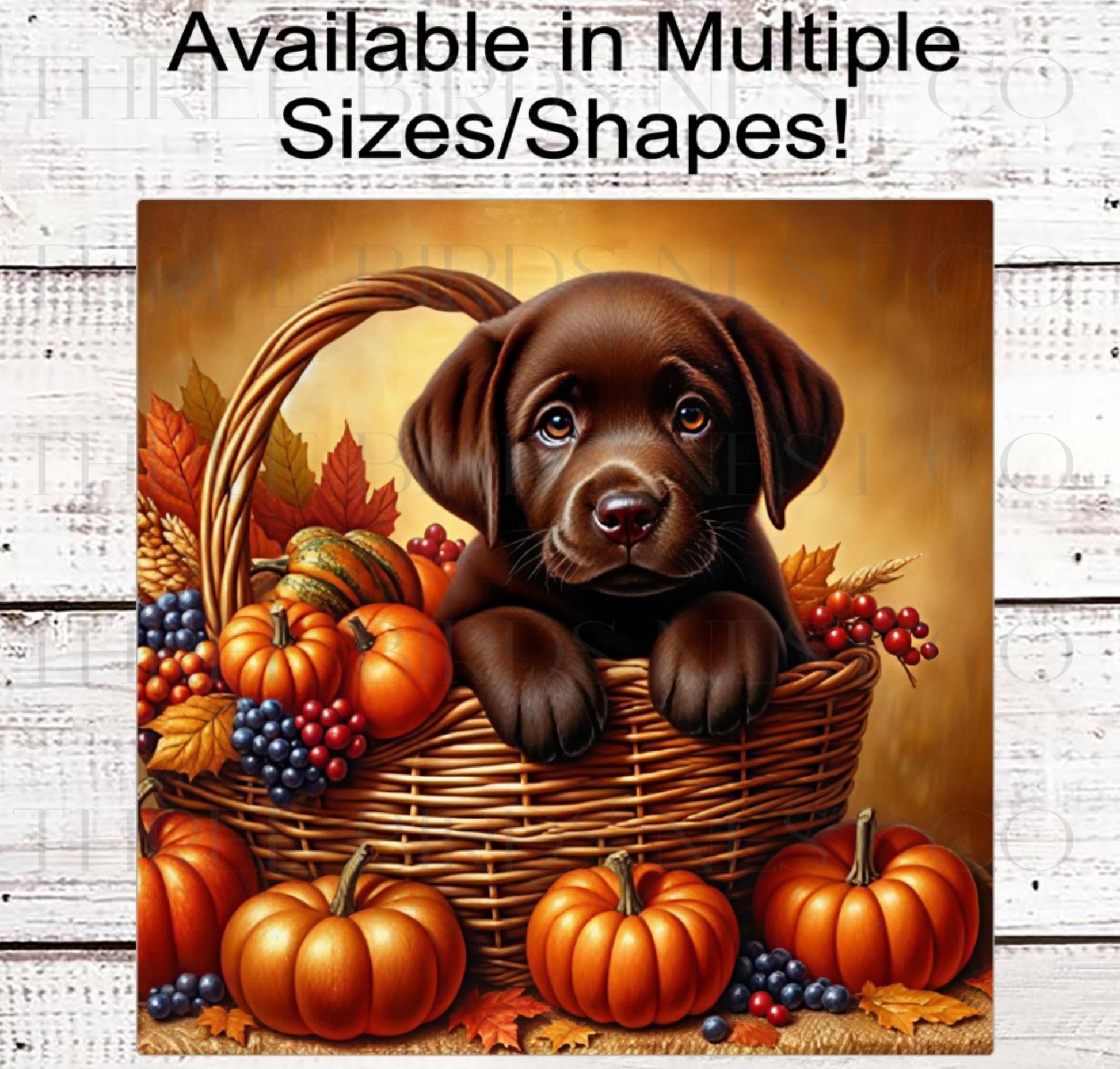 Fall Wreath Sign, Labrador Retriever Dog, Chocolate Lab Lover, Thanksgiving Decor- PA2209