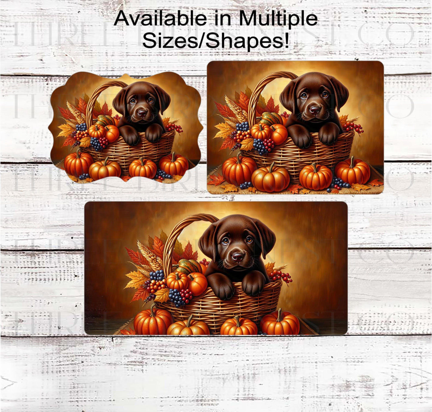 Fall Wreath Sign, Labrador Retriever Dog, Chocolate Lab Lover, Thanksgiving Decor- PA2209