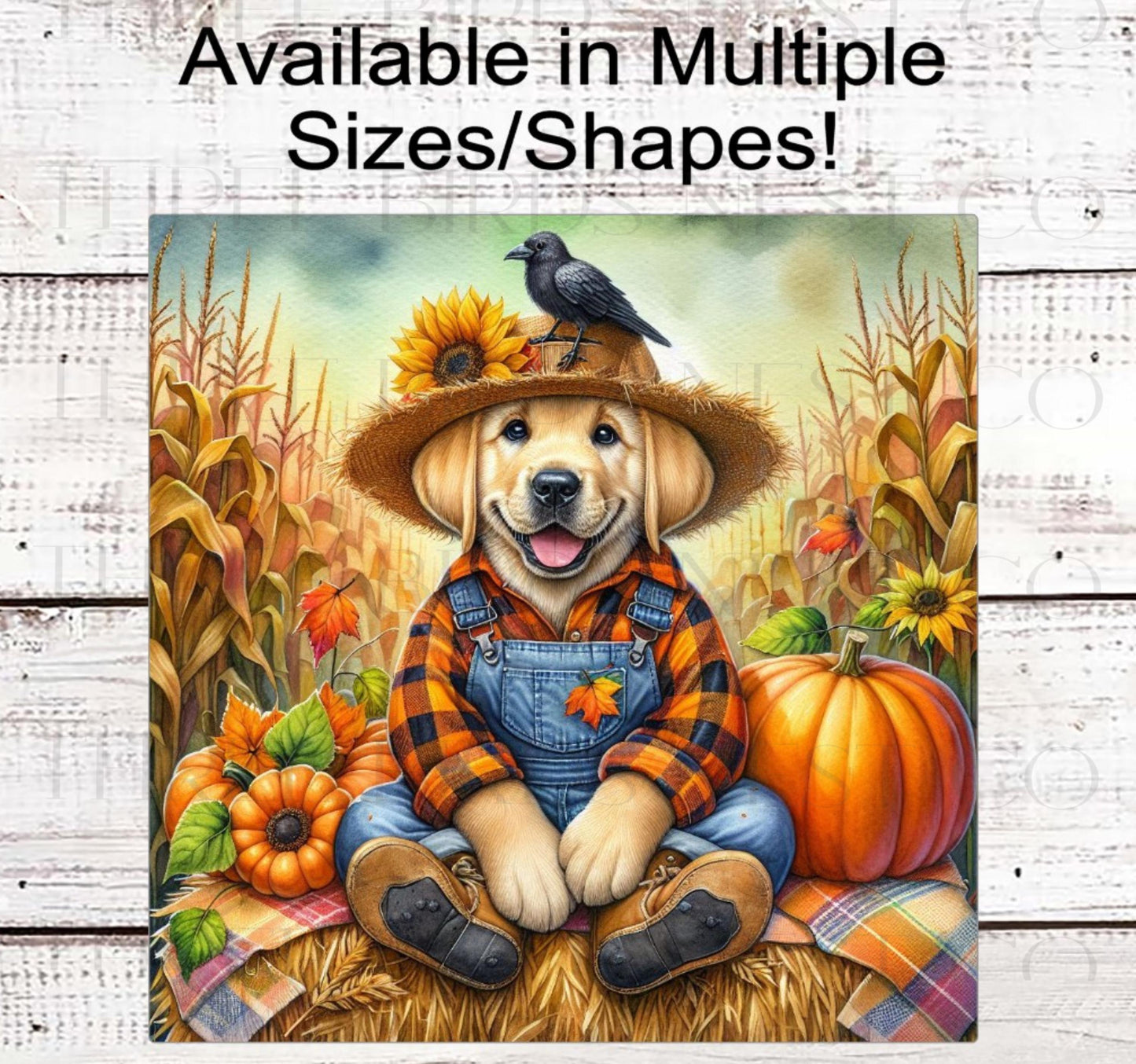 Fall Wreath Sign, Labrador Retriever Dog, Yellow Lab Lover, Autumn Scarecrow- PA2216