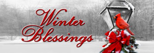 Winter Blessings Cardinal and Lantern- PVC All Weather Sign