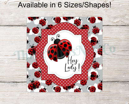 Hey Lady Ladybug Sign