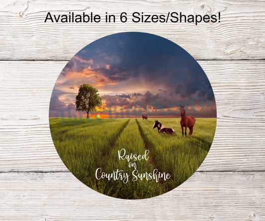 Raised on Country Sunshine - Country Wreath Signs - Horse Wreath - Horse Sign - Welcome Wreath Sign - Farm Life Sign
