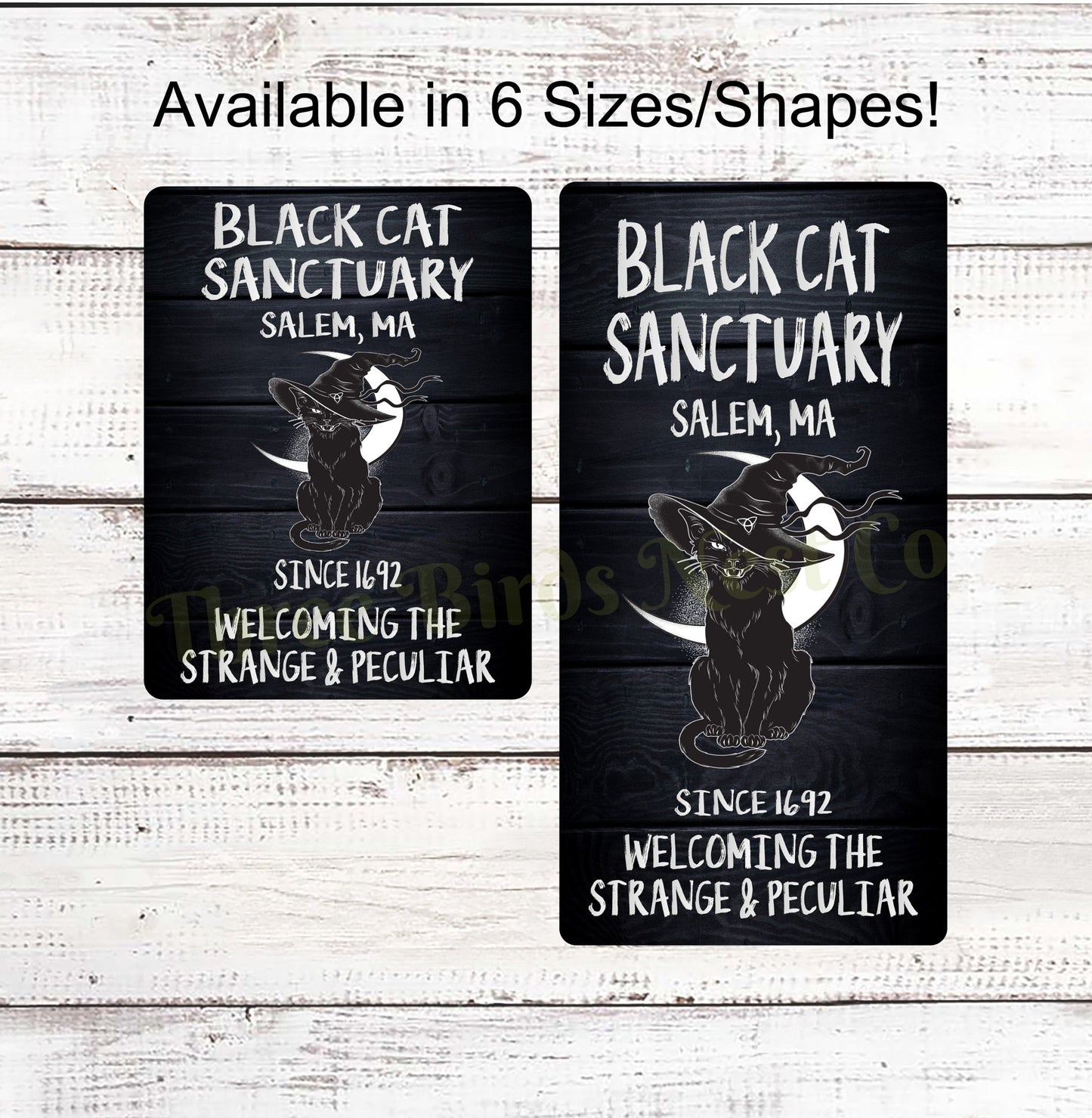 Black Cat Sanctuary Halloween Sign