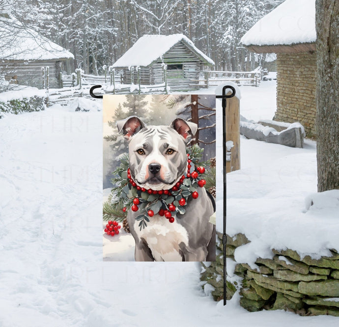 A gray and white Staffordshire Terrier, Pit Bull Dog in a snowy Winter scene wearing a greenery and berries collar.